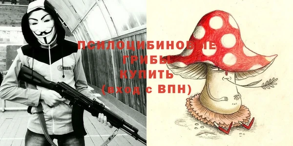 apvp Армянск