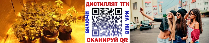 Дистиллят ТГК жижа  ОМГ ОМГ ссылки  Сосновый Бор 