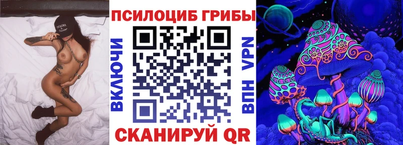 Псилоцибиновые грибы Psilocybine cubensis  блэк спрут ссылки  Сосновый Бор 